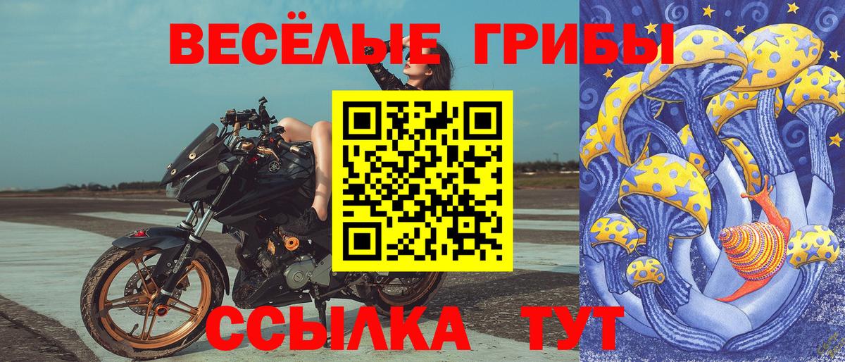 Псилоцибиновые грибы MAGIC MUSHROOMS Нефтекумск