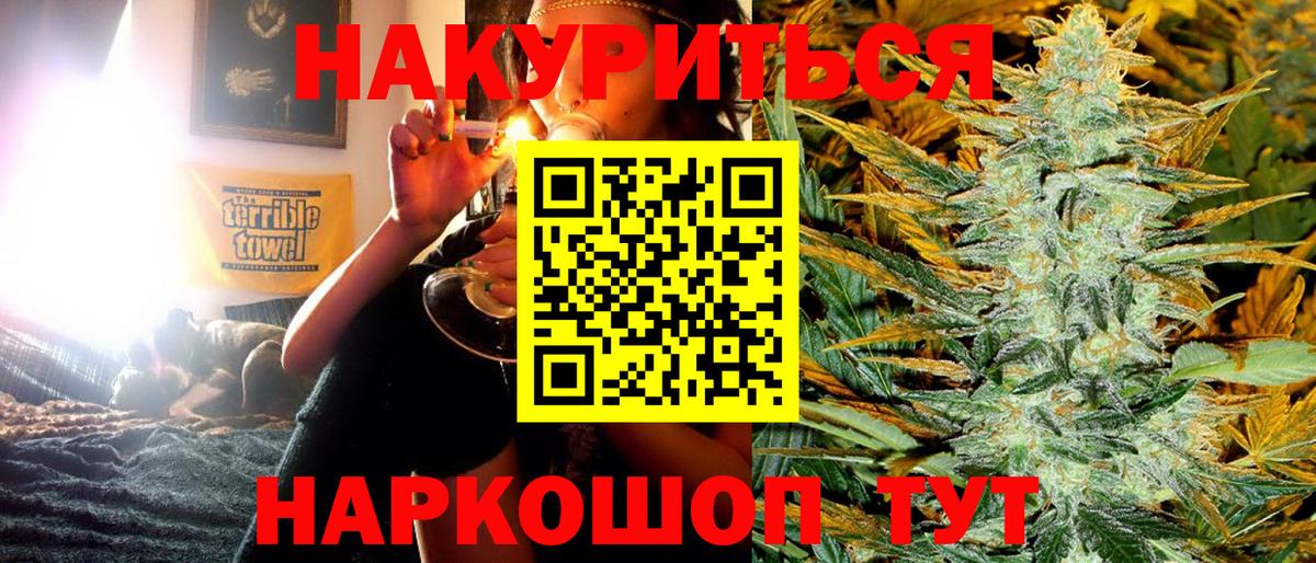 Конопля сатива Нефтекумск